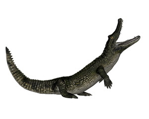 Caiman roaring up - 3D render