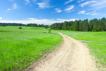 beautiful field and road