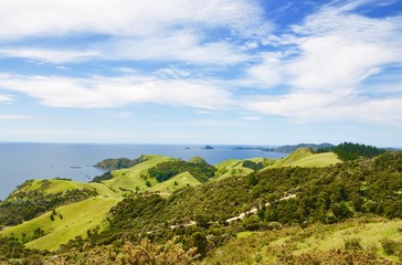 Fototapeta na wymiar new Zealand hills at the sea
