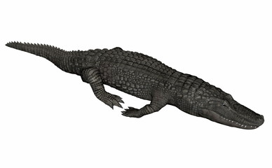 Naklejka premium Crocodile relaxing - 3D render