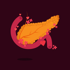 Pancreas vector illustration