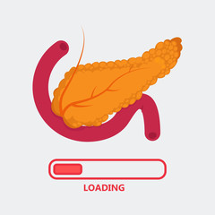 Pancreas vector illustration