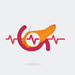Pancreas vector illustration