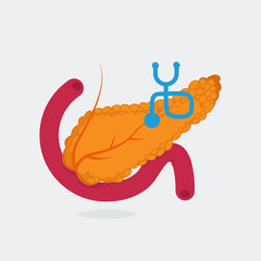 Pancreas vector illustration