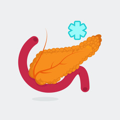 Pancreas vector illustration