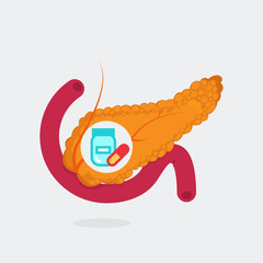 Pancreas vector illustration