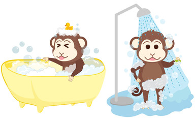 Naklejka premium Monkey shower and bathe at bathroom.