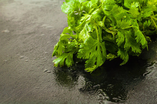 Green fresh parsley on black board kitchen surface with water drop