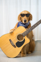 Golden Retriever and guitar