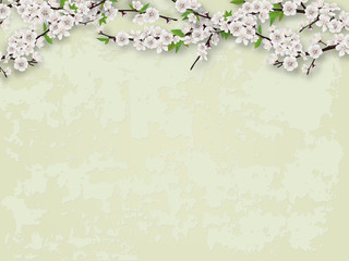 Flowering branches of a tree on the background of a stucco wall. Vector blank for spring illustration.