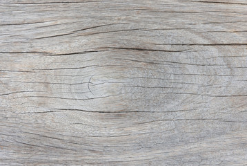 Fototapeta premium The texture of wood after polished smooth.