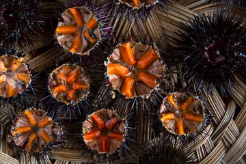 Zelfklevend Fotobehang Fresh sea urchins © sabino.parente