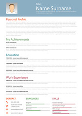 Professional resume cv structured template