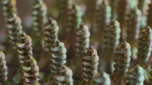 Pile of wood screws isolated on metallic background, slow motion, top view.