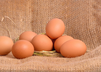Chicken Egg , egg on a brown sackcloth