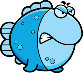 Angry Cartoon Fish