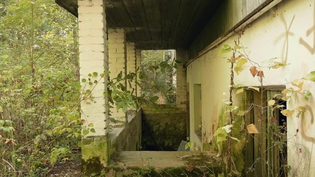 Wall of the deserted factory in the forest. Autumn daytime. Smooth dolly shot