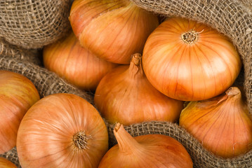 onions background