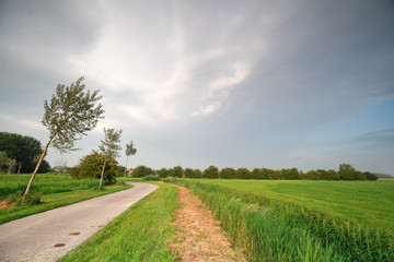 Fototapeta na wymiar biking path in Dutch countryside