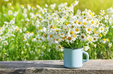 Foto op Plexiglas Madeliefjes Bouquet of beautiful daisies in summer garden