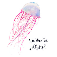 Fototapeta premium Watercolor jellyfish. Hand drawn animal illustration isolated on white background. Underwater natural art