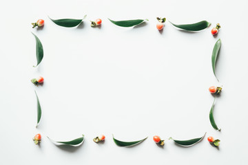 Frame With Green Leaves And Red Berries