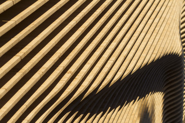 lines, curves, black and white, texture