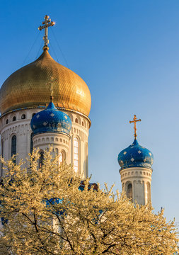 dome of orthodox church in springtime  blossom of apple tree flowers before easter