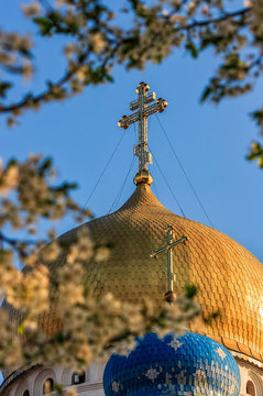 dome of orthodox church in springtime  blossom of apple tree flowers before easter