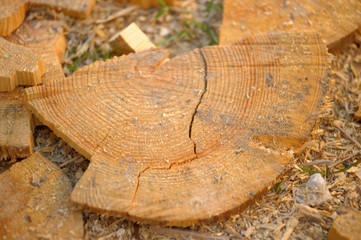 heap of sawn wood logs with rough bark closeup view.