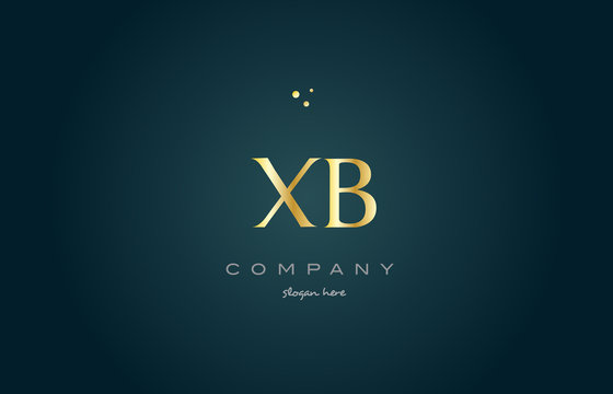 xb x b  gold golden luxury alphabet letter logo icon template
