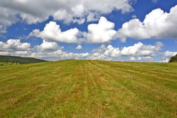 Green field and blue sky