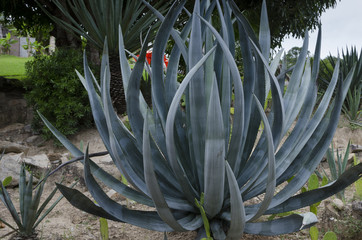 Obraz premium Mexico