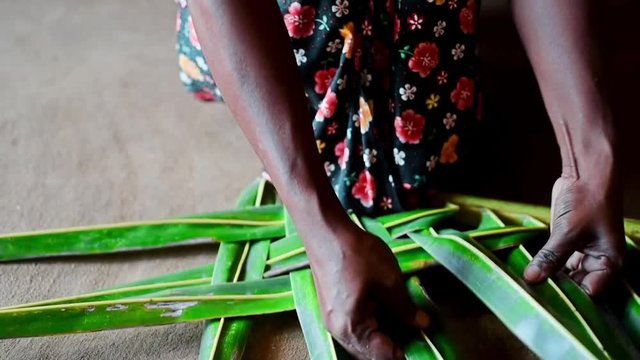 Woman hands braiding green coconut leaves