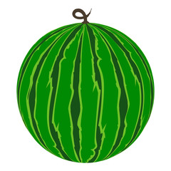 watermelon ripe juicy vector illustration isolated on white background