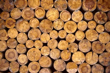 Möbelaufkleber Trockenes Brennholz in einem Haufen zum Anzünden von Brennöfen © Himchenko