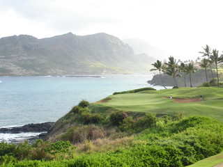 Naklejka premium island golf