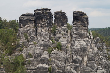 Fototapeta na wymiar wanderung im elbsandsteingebirge