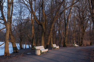 Evening in the park. The evening sun illuminates trees and buildings. Sun glare on the ice. Early spring.
