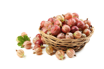 Obraz premium Gooseberries fruit isolated on a white