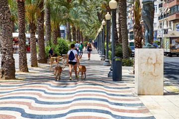 Alicante, Spain - June 30, 2016: The promenade Explanada of Spain in Alicante is paved with 6.5 million marble floor tiles creating a wavy form and is one of the most lovely promenades in Spain. © kurbanov_vener