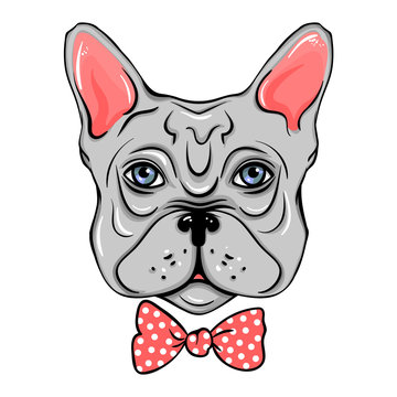 Vector French Bulldog. Illustration of a cute dog wit bow. Cartoon Animals. Funny pictures.