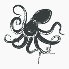 Ocean octopus or underwater squid © Elegant Solution