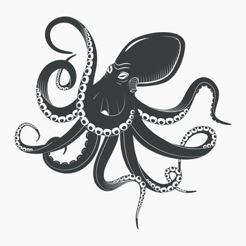 Ocean octopus or underwater squid