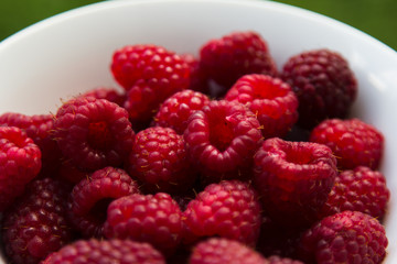 raspberries in a white plate