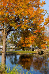 A colorful scene of a park with a tress and a pond in autumn. Heckscher Park, Huntington, NY.