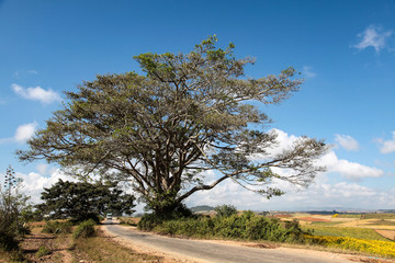 Myanmar  - Burma - Fahrt von Heho nach Pindaya