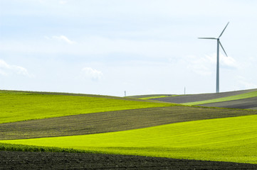 grüne Felder, braune Felder, Netzwerk, Windrad, saubere Windene