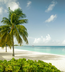 Seven Mile Beach sur l& 39 île de Grand Cayman, îles Caïmans