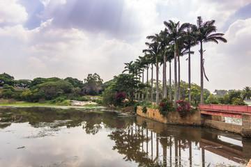 November 10, 2014: Botanical gardens of Bangalore, India